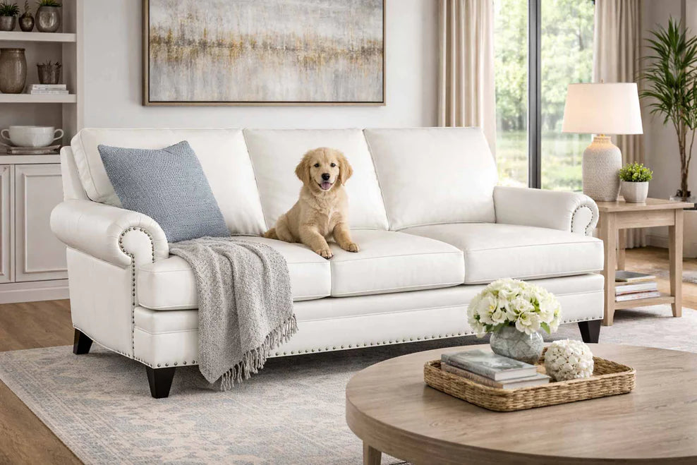 Carrado Sofa Bradington Young